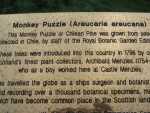 Plaque Commemorating Archibald Menzies